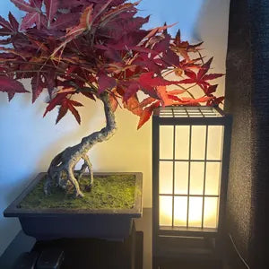 Customer photo 1